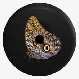 Jeep Wrangler Jl Backup Camera Realistic Butterfly - Butterfly Png