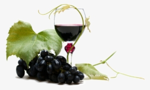 Vino - Berry