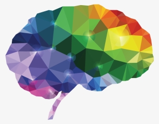 16 Neuro 05931 Brain