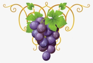 Grapevine Clipart Transparent - Decorative Element Cliparts Png