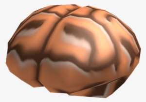 Brain - Roblox Brain