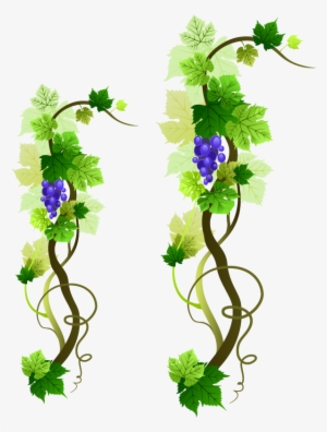 Grapevine Png Picture - Sample First Holy Communion Invitation