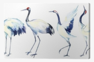 Watercolor Asian Crane Bird Set Canvas Print • Pixers® - Bird Crane