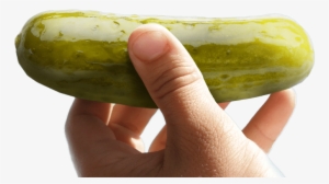 Individually Wrapped Dill Pickle Snack - Pickle Rick