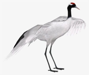 Red-crowned Crane - Red Crowned Crane Png