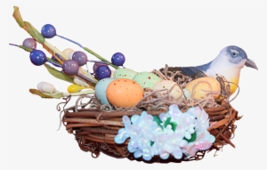 Download Amazing High-quality Latest Png Images Transparent - Bird Nest
