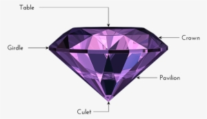 Diamond Anatomy Diagram - School