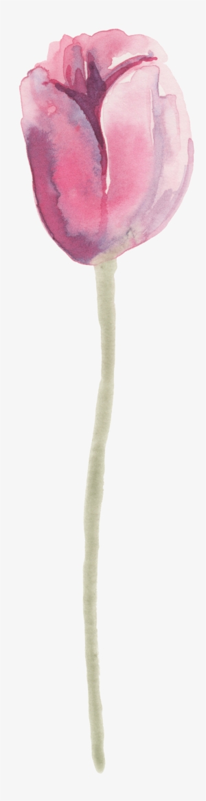 Transparent Decorative Material For Tulip - Ornament