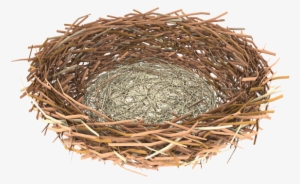 Image Library Stock Transparent Background Free On - Nest Png
