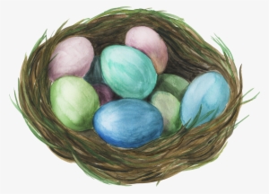 Nest Png