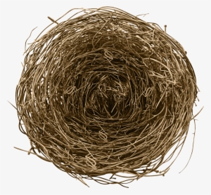 Bird Nest Png - Bird