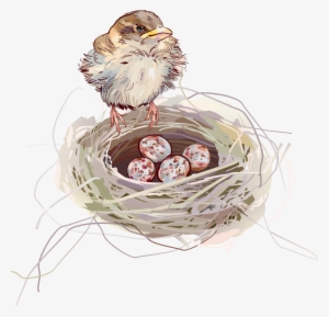 Nest Png Background - Bird On A Nest Cartoon