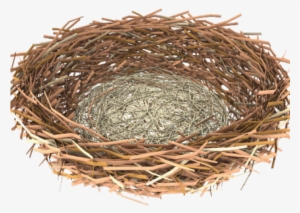 Nest Png Transparent Images - Portable Network Graphics