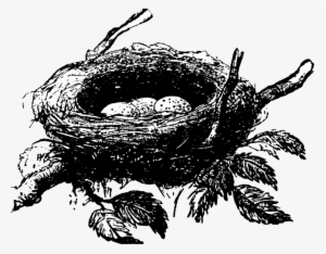 Nest Png Images Transparent Free Download - Clipart Black And White Bird Nests