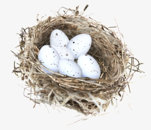 Hand Painted A Nestle Nest Png Transparent - Nido Png