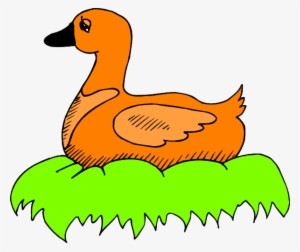 Orange Duck In Nest Svg Clip Arts 600 X 504 Px