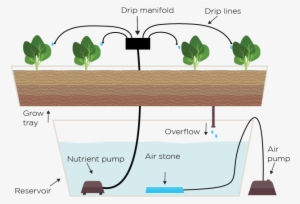 Drip System - Hydroponics