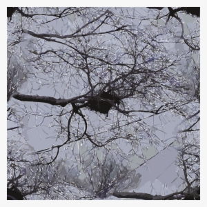 This Free Icons Png Design Of Bird Nest Branches Power