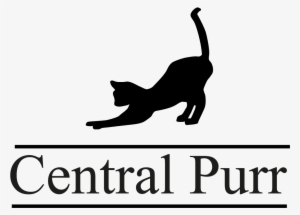 Www - Central-purr - Co - Uk - Sterling Silver Small Roman Numeral Pendant By My 12