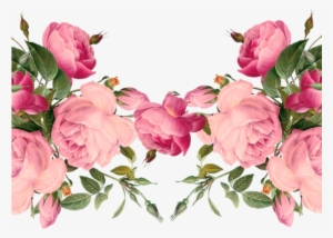 Flowers Borders Clipart April - Transparent Pink Floral Border