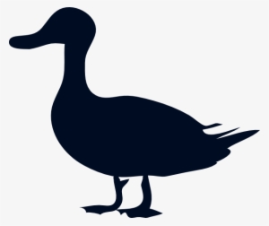 Wood Duck Silhouette At Getdrawings - Duck Silhouette