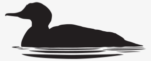 Graphic Royalty Free Download Loon Drawing Common Merganser - All About Birds