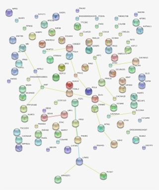 Network Of Associatons Between Targets According To