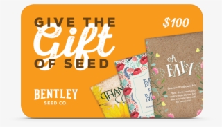 $100 Gift Card