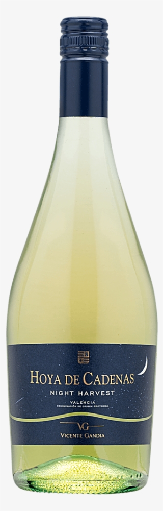 Martha's Tasting Notes