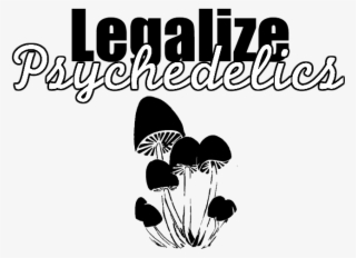 Why We Should Decriminalize Psilocybin