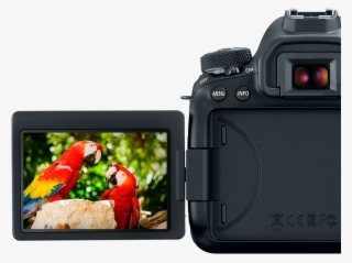 De Operación De La Cámara 6d Mark Ii, Además De Que