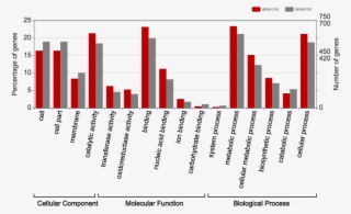 X Axis Shows User Selected Go Terms
