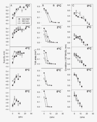 Post Hatch Developmental Changes In Morphometrics Of