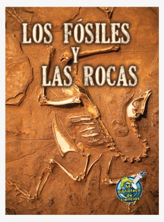 Tcr173117 Los Fosiles Y Las Rocas Image