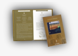 Director Of The Publication