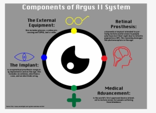 Greger Said One Reason The Design Works Is Because