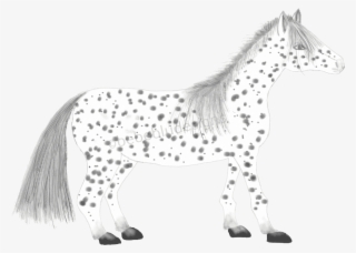 Horse Black And White