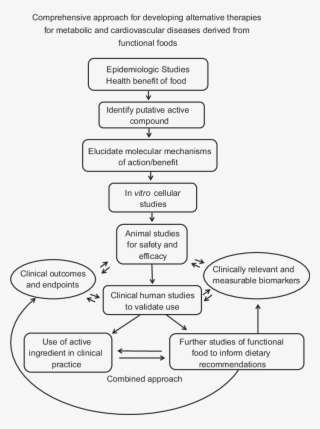 Comprehensive Approach For Developing Alternative Therapies