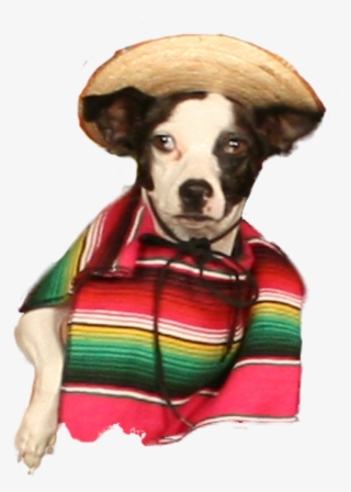 Pancho Villa