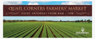 Banner Design Png