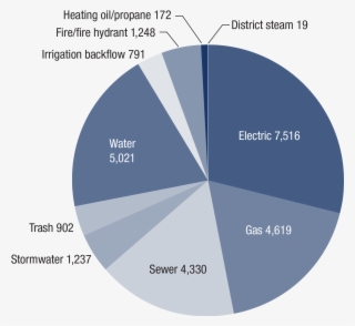 Type Of Accounts In The Utility Management System