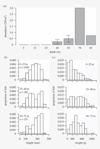 Lionfish Abundance Recorded Across The Depth Gradient