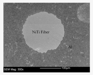 Niti-reinforcement Fiber In The Aluminum Matrix Composite
