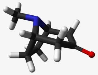 Tropinone 3d Sticks