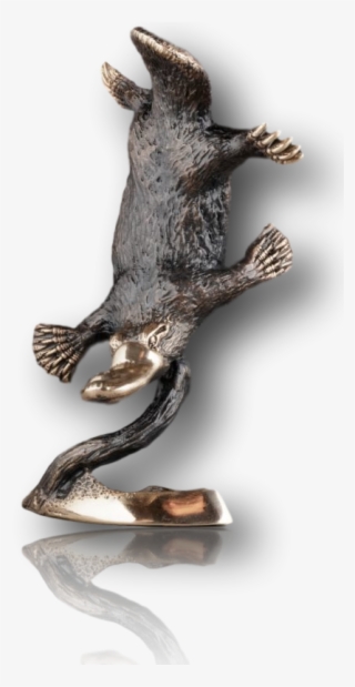 Small Diving Platypus