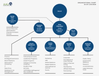 Aauw Org Chart Nsa
