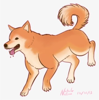 Shiba Inu