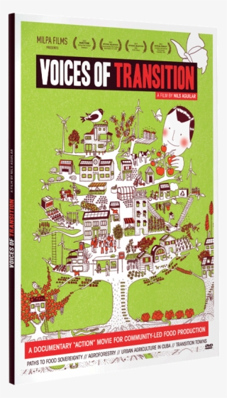 Voices Of Transition Documentary Film Dvd
