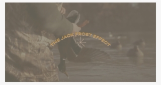 Until Just Recently, It Seems As Though Ol' Jack Frost