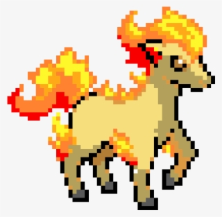 Ponyta